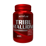 Tribu Stallion - ActivLab